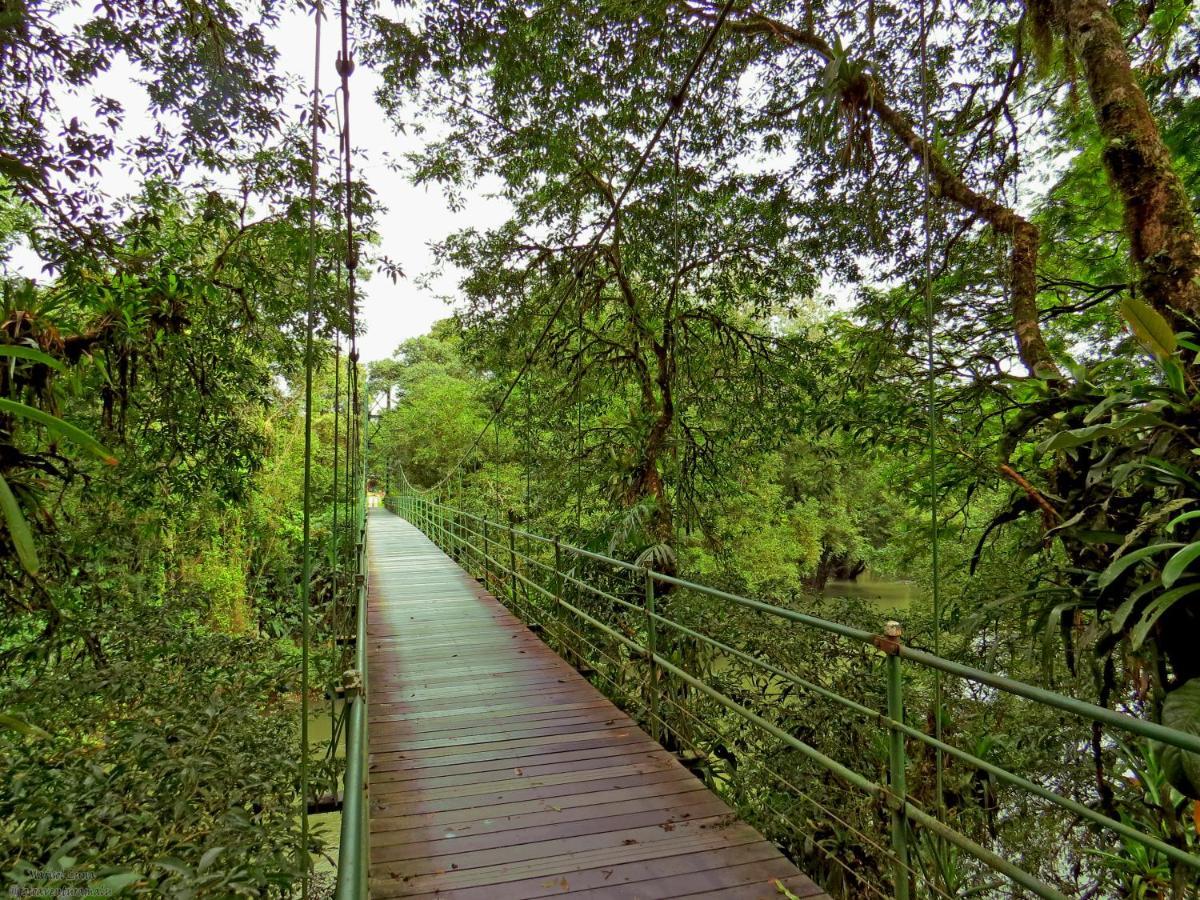 La Selva Biological Station Hotel Sarapiquí Eksteriør billede