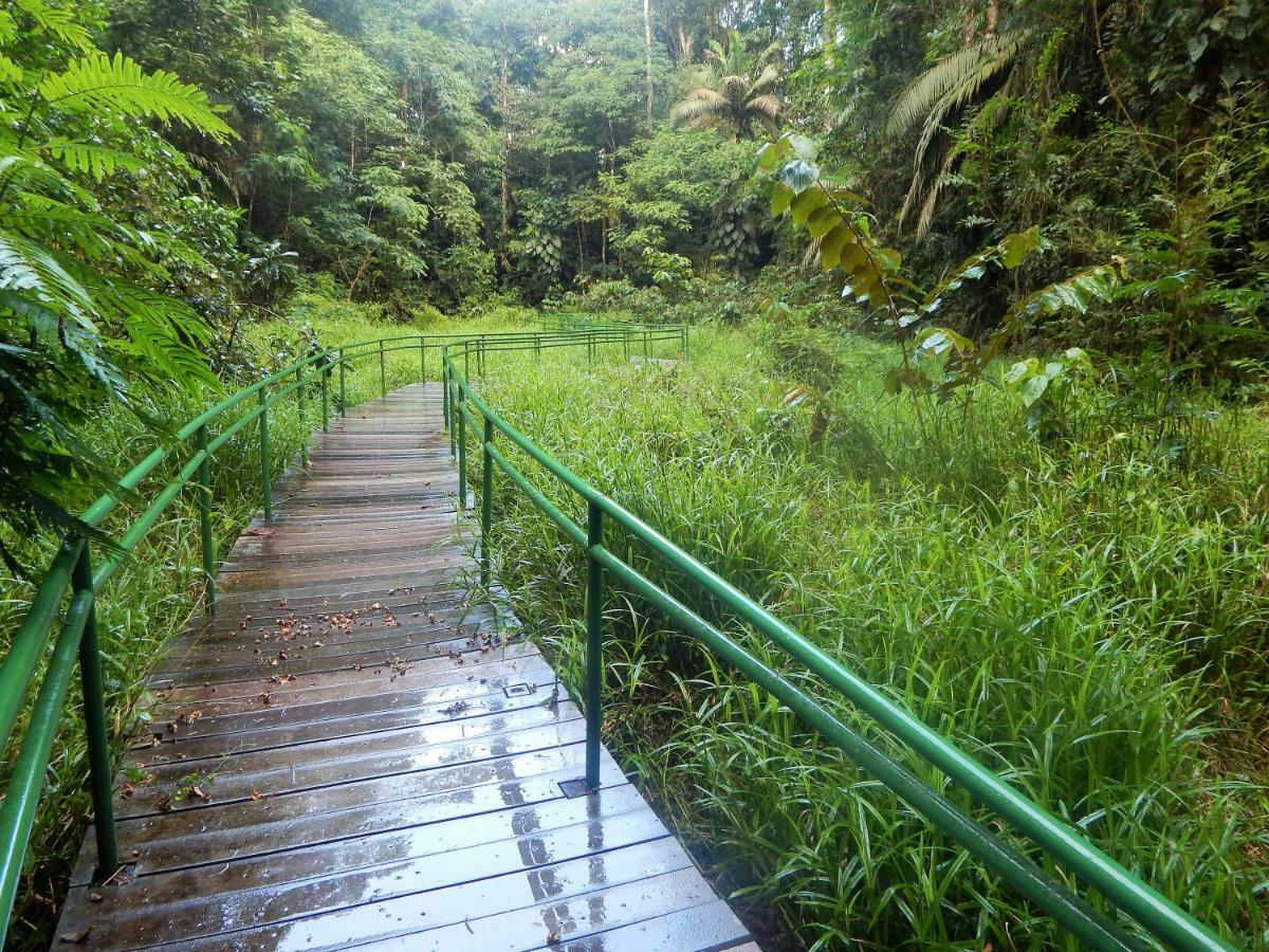 La Selva Biological Station Hotel Sarapiquí Eksteriør billede