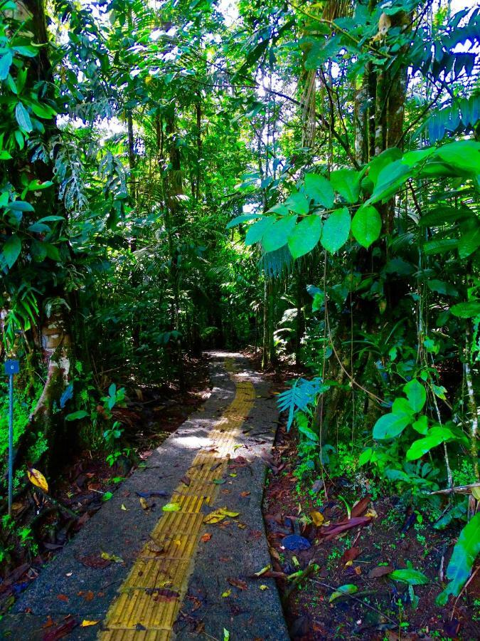 La Selva Biological Station Hotel Sarapiquí Eksteriør billede