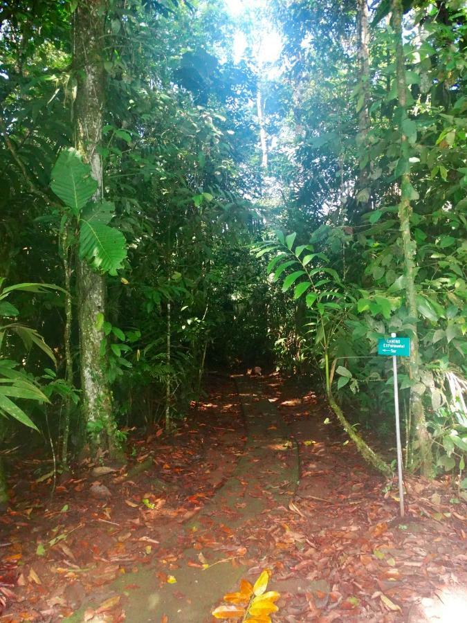 La Selva Biological Station Hotel Sarapiquí Eksteriør billede
