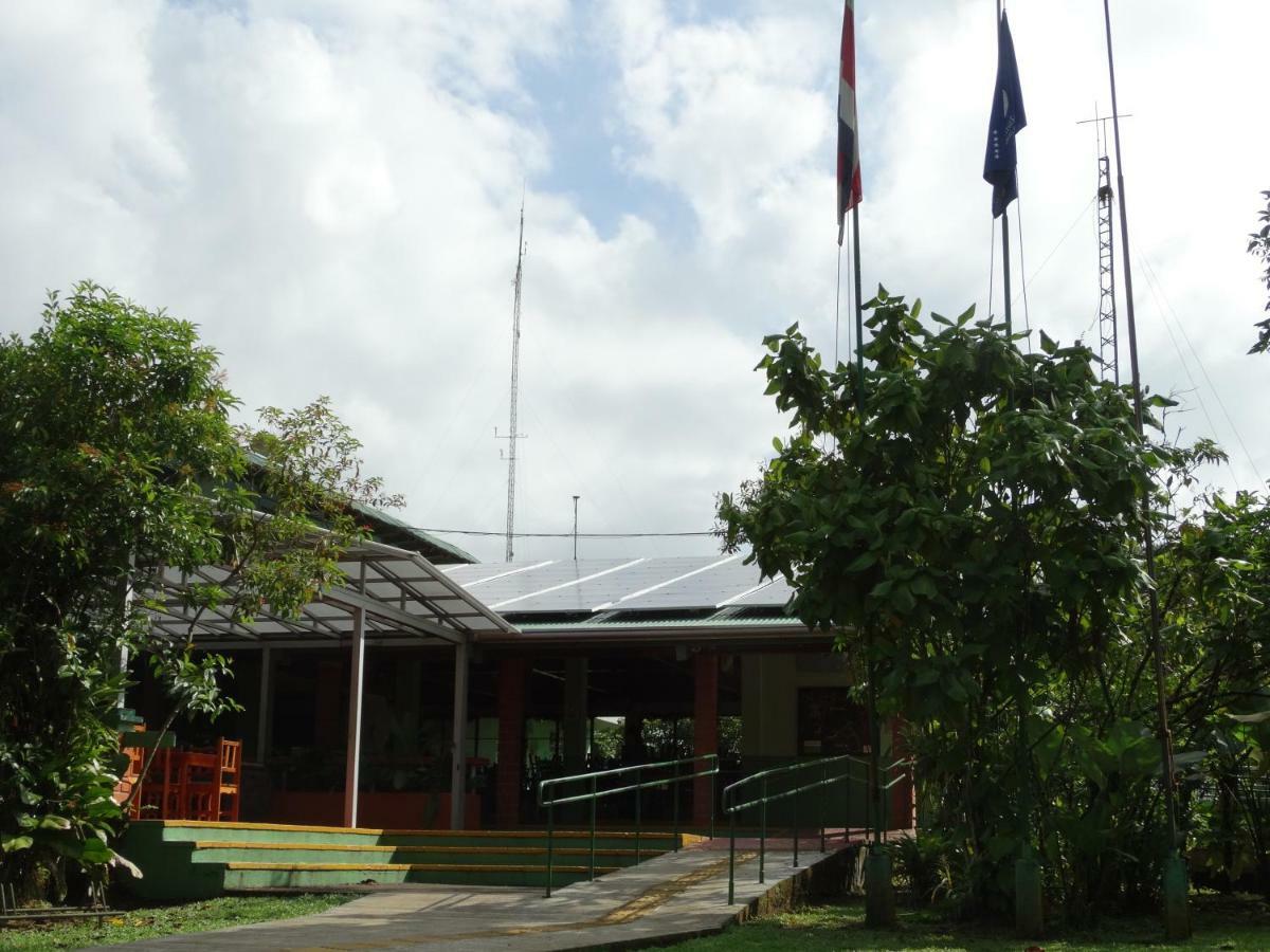 La Selva Biological Station Hotel Sarapiquí Eksteriør billede