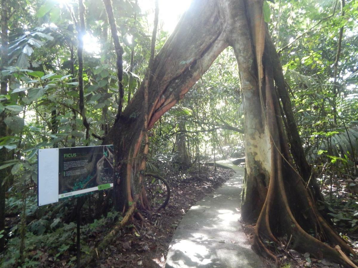 La Selva Biological Station Hotel Sarapiquí Eksteriør billede