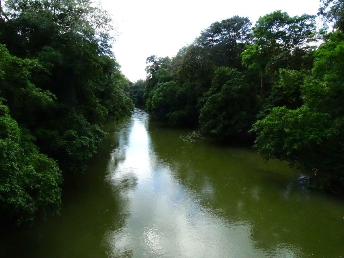 La Selva Biological Station Hotel Sarapiquí Eksteriør billede