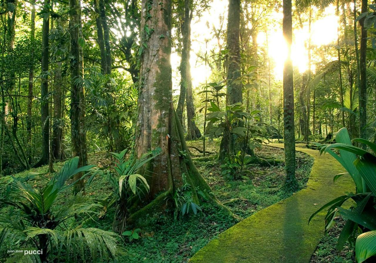 La Selva Biological Station Hotel Sarapiquí Eksteriør billede