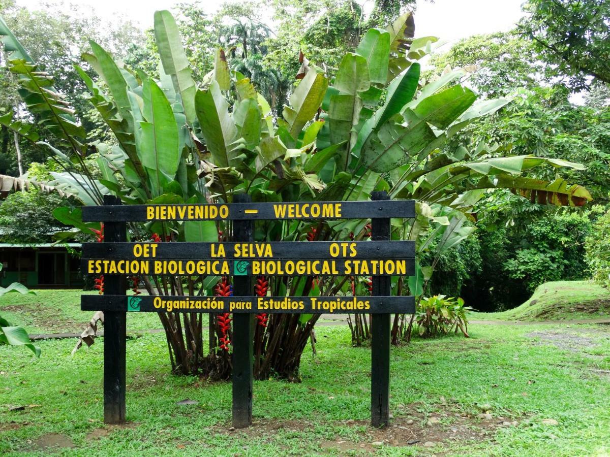 La Selva Biological Station Hotel Sarapiquí Eksteriør billede