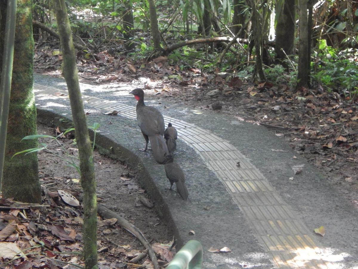 La Selva Biological Station Hotel Sarapiquí Eksteriør billede