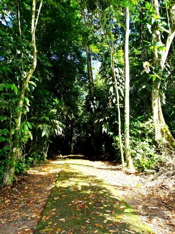 La Selva Biological Station Hotel Sarapiquí Eksteriør billede