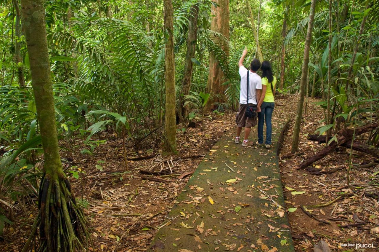 La Selva Biological Station Hotel Sarapiquí Eksteriør billede