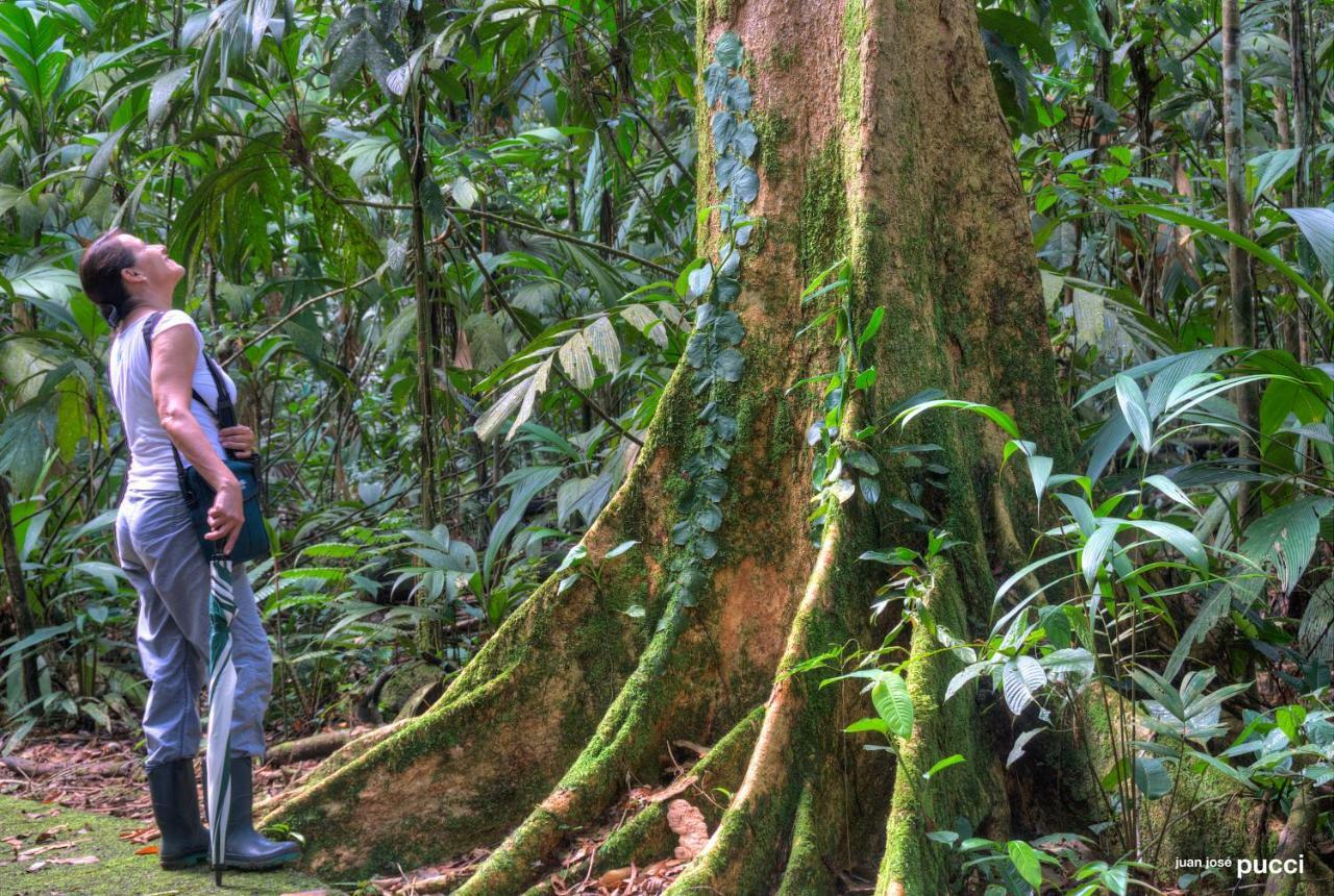 La Selva Biological Station Hotel Sarapiquí Eksteriør billede